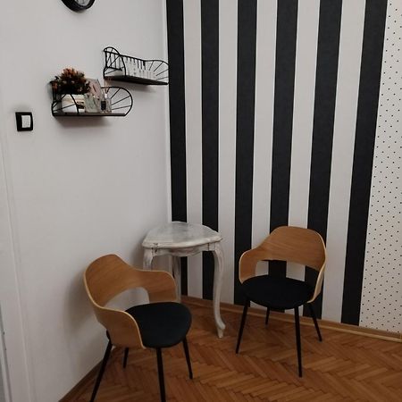 נובי סאד Apartment Korzo מראה חיצוני תמונה