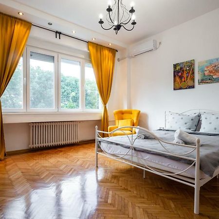 נובי סאד Apartment Korzo מראה חיצוני תמונה